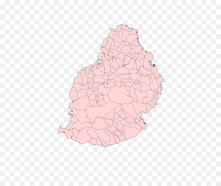 Carte，Rose M PNG