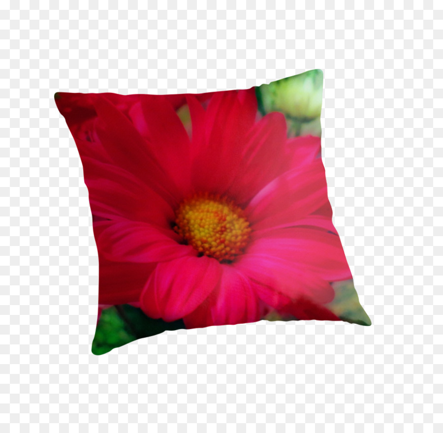 Marguerite Du Transvaal，Coussin PNG