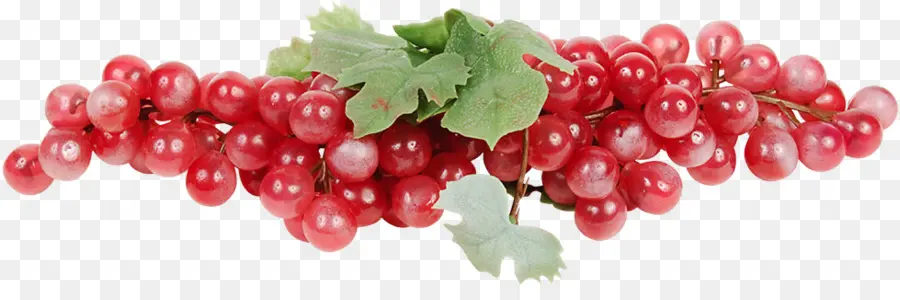 Raisins Rouges，Feuilles PNG