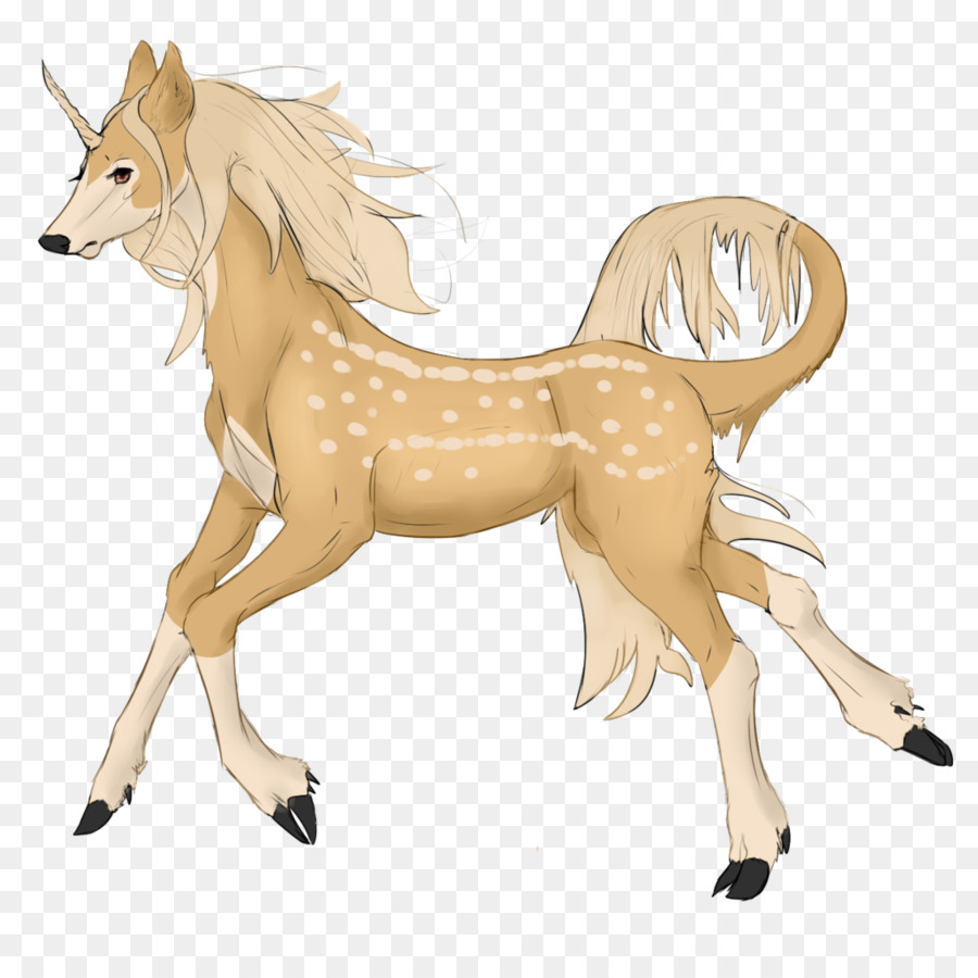 Mustang，Poney PNG