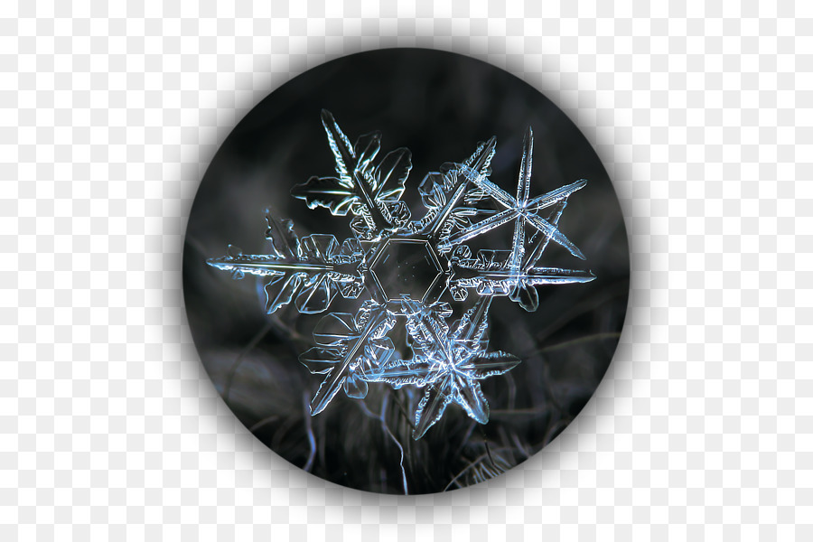 Flocon De Neige，Hiver PNG