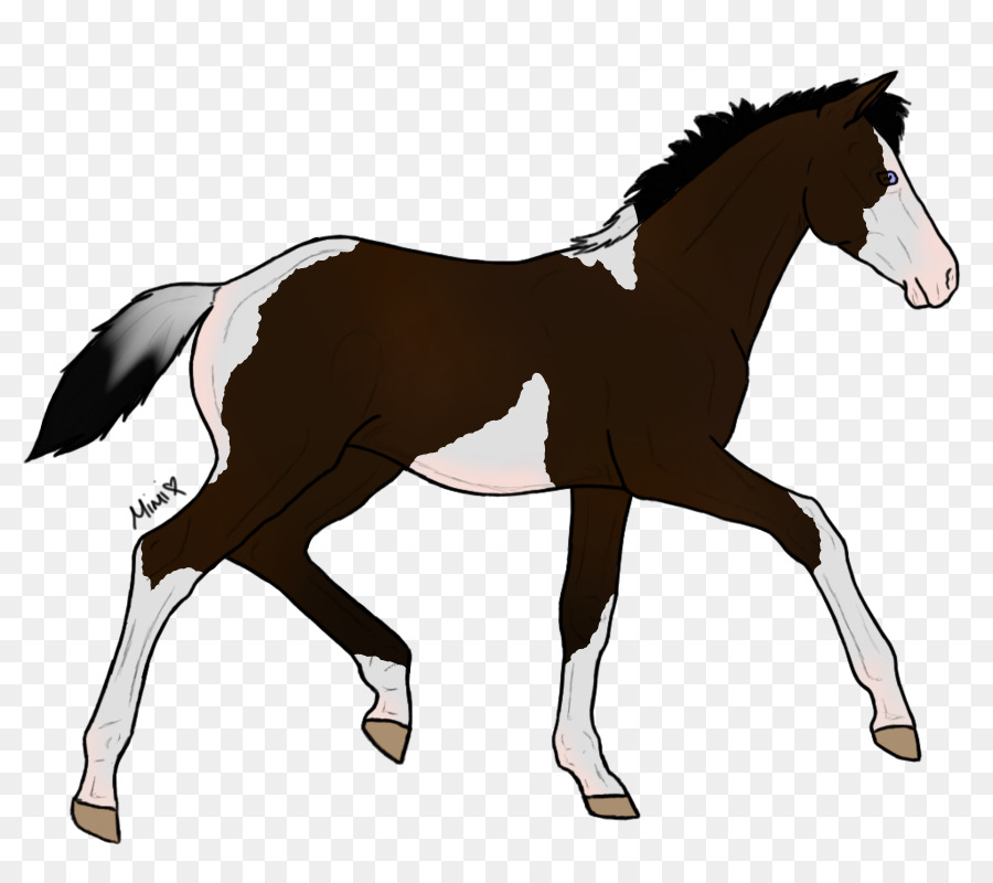 Cheval，équidé PNG