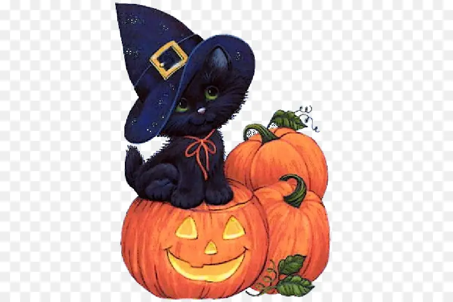 Chat Noir Avec Des Citrouilles，Halloween PNG