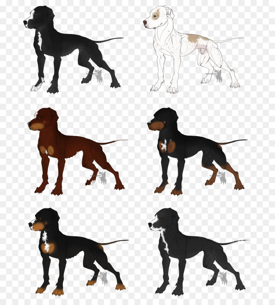 Illustrations De Chiens，Animal De Compagnie PNG