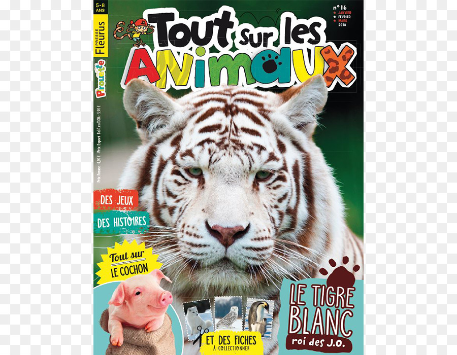 Magazine，Tigre Blanc PNG