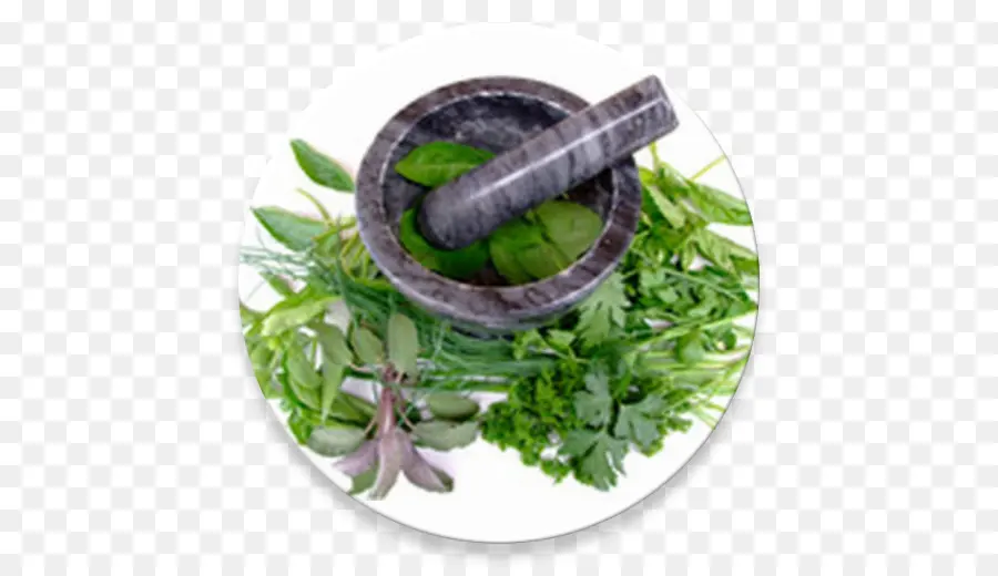 Herbes Et Mortier，Épices PNG