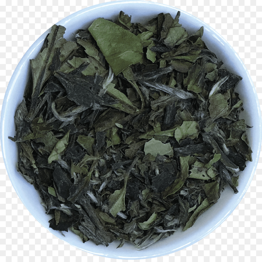 Gyokuro，Nilgiri Thé PNG