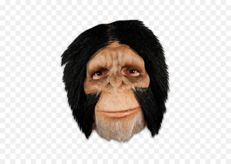 Chimpanzé Commun，Masque PNG