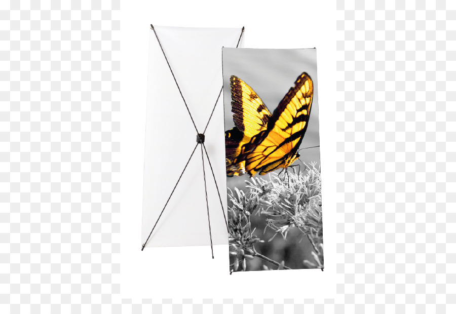 Papillon Monarque，Bannière Web PNG