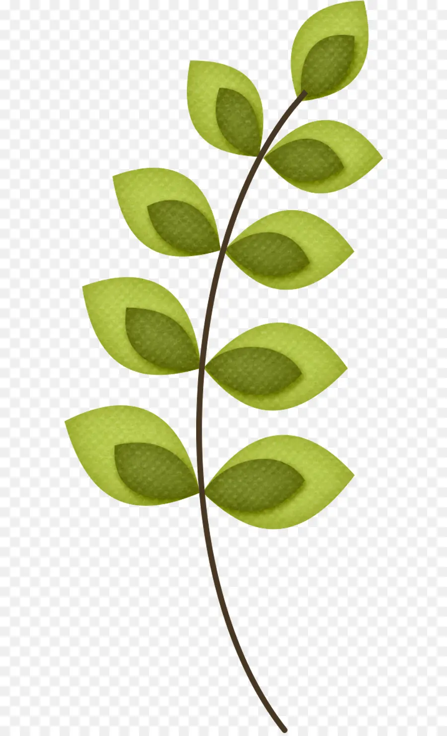 Feuilles Vertes，Bifurquer PNG