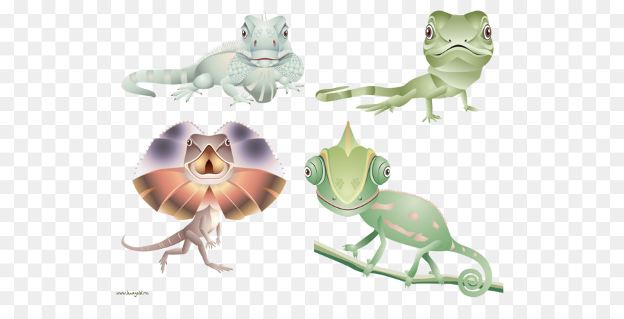 Lézards De Dessin Animé，Reptiles PNG