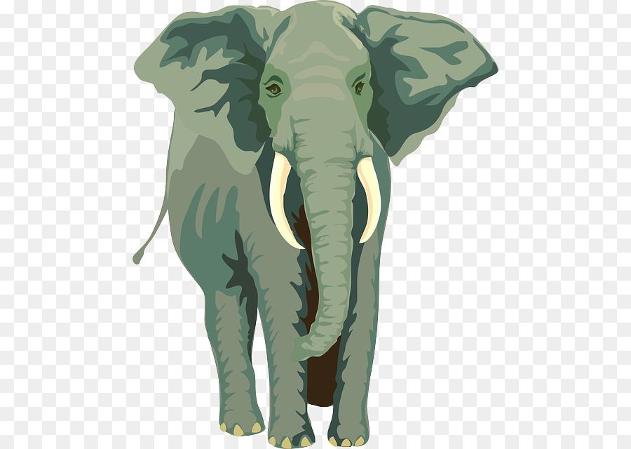 éléphants，éléphant Africain PNG