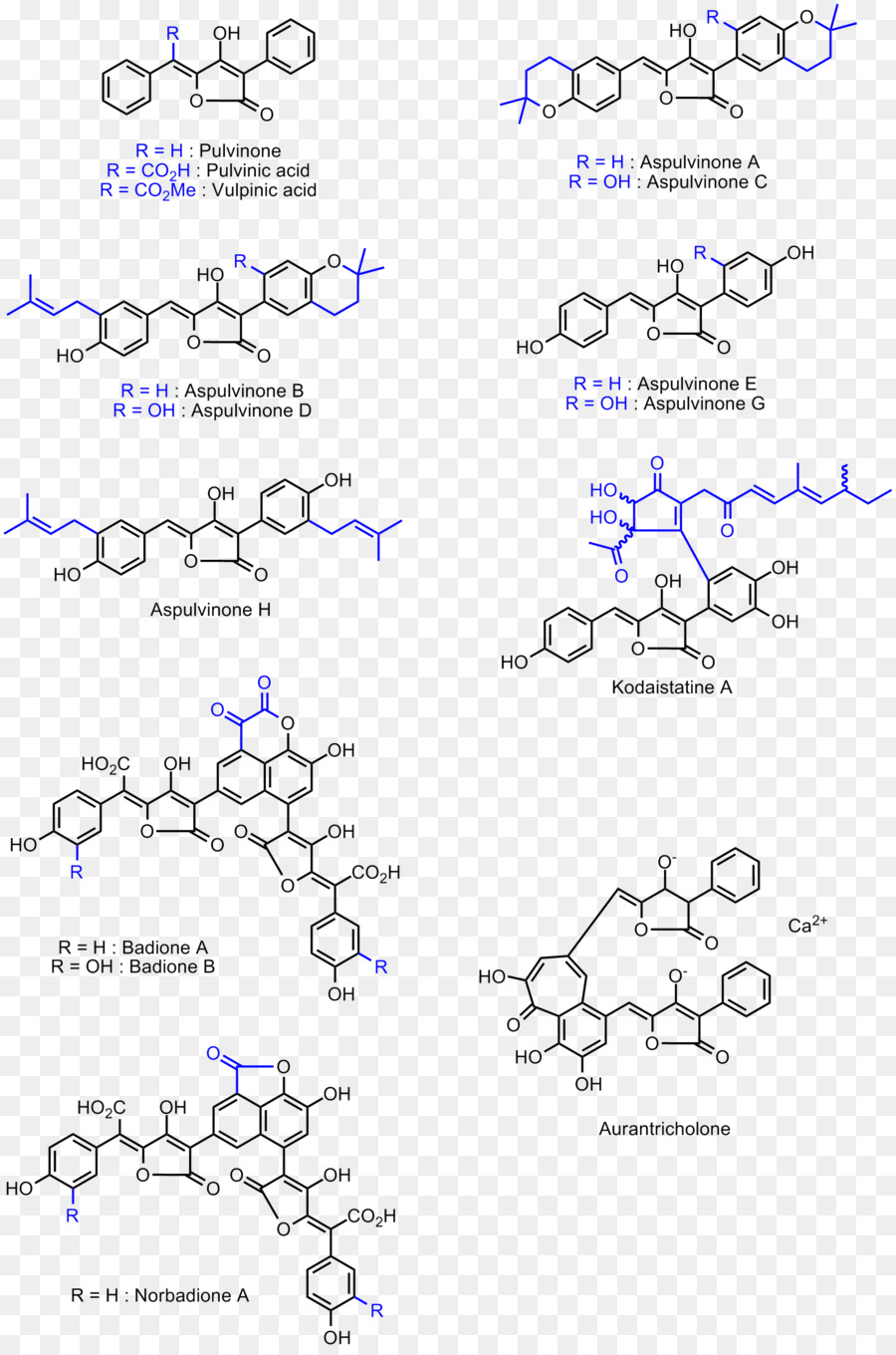 Structure Chimique，Molécule PNG