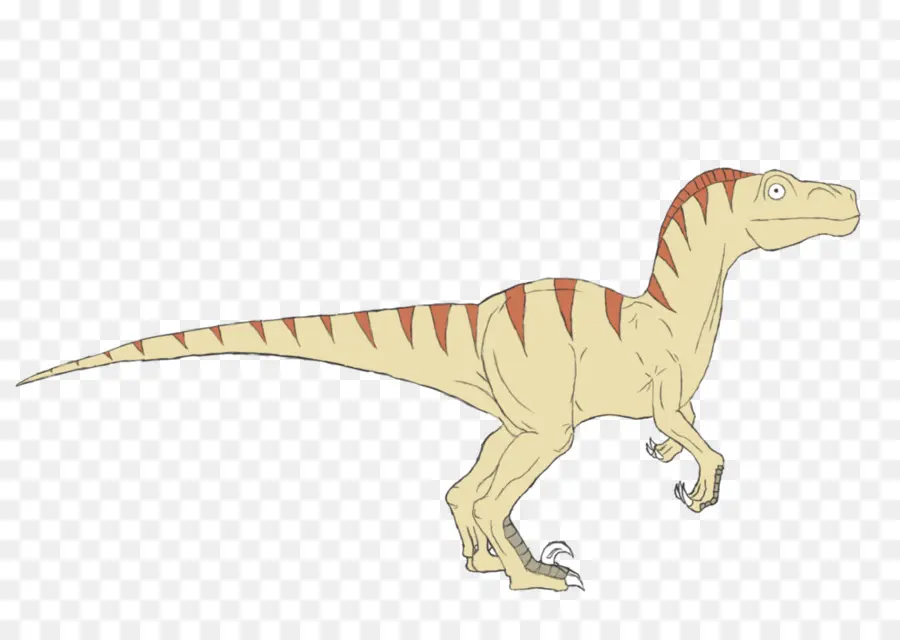 Dessin De Dinosaure，T Rex PNG