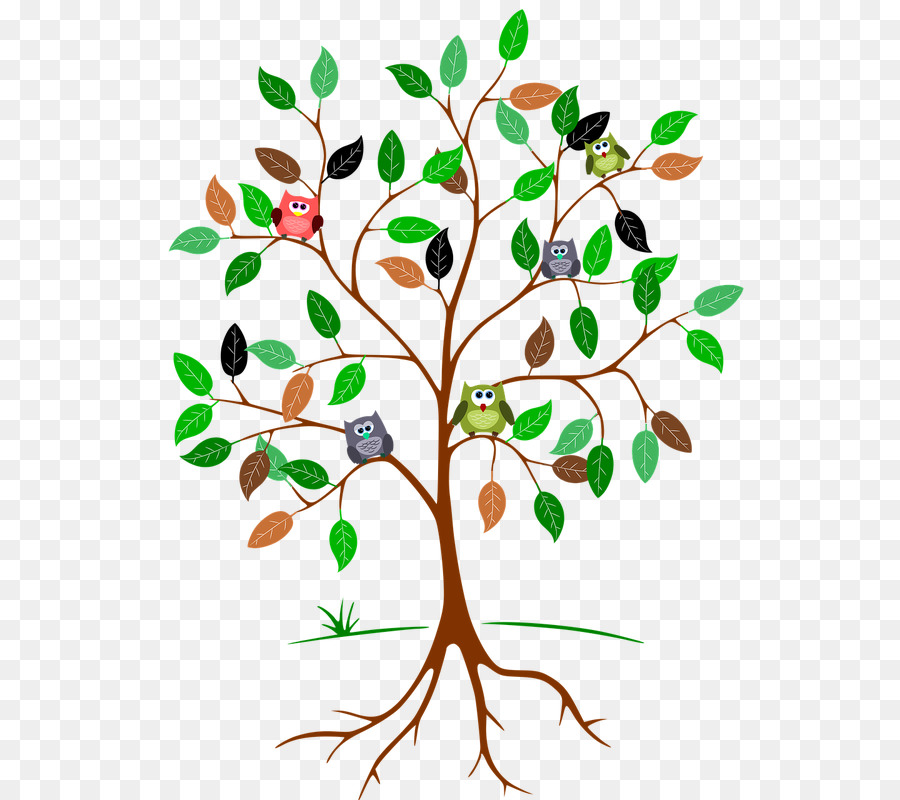 Arbre Avec Des Hiboux，Feuilles PNG