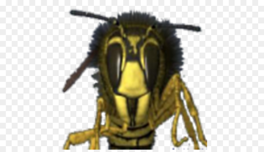 Abeille，Insecte PNG