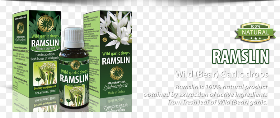 Ramsons，L Ail PNG