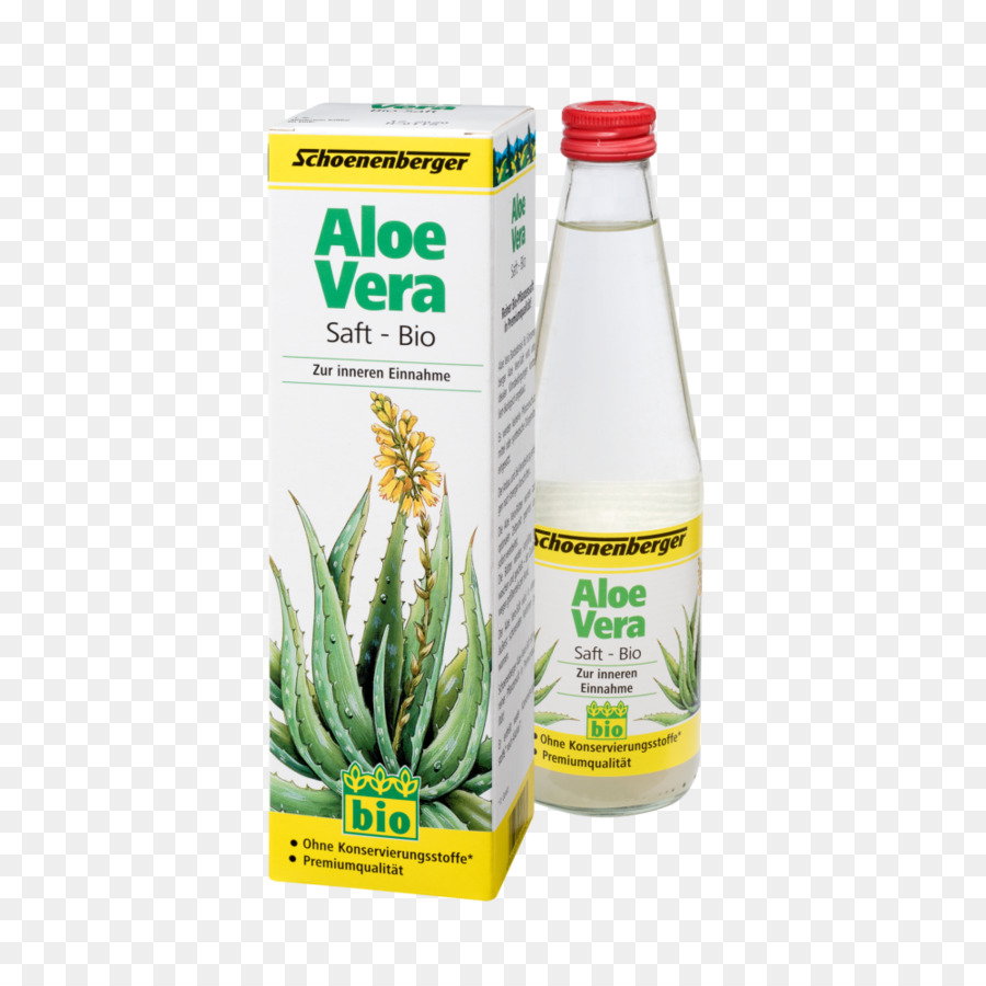 Des Aliments Biologiques，L Aloe Vera PNG