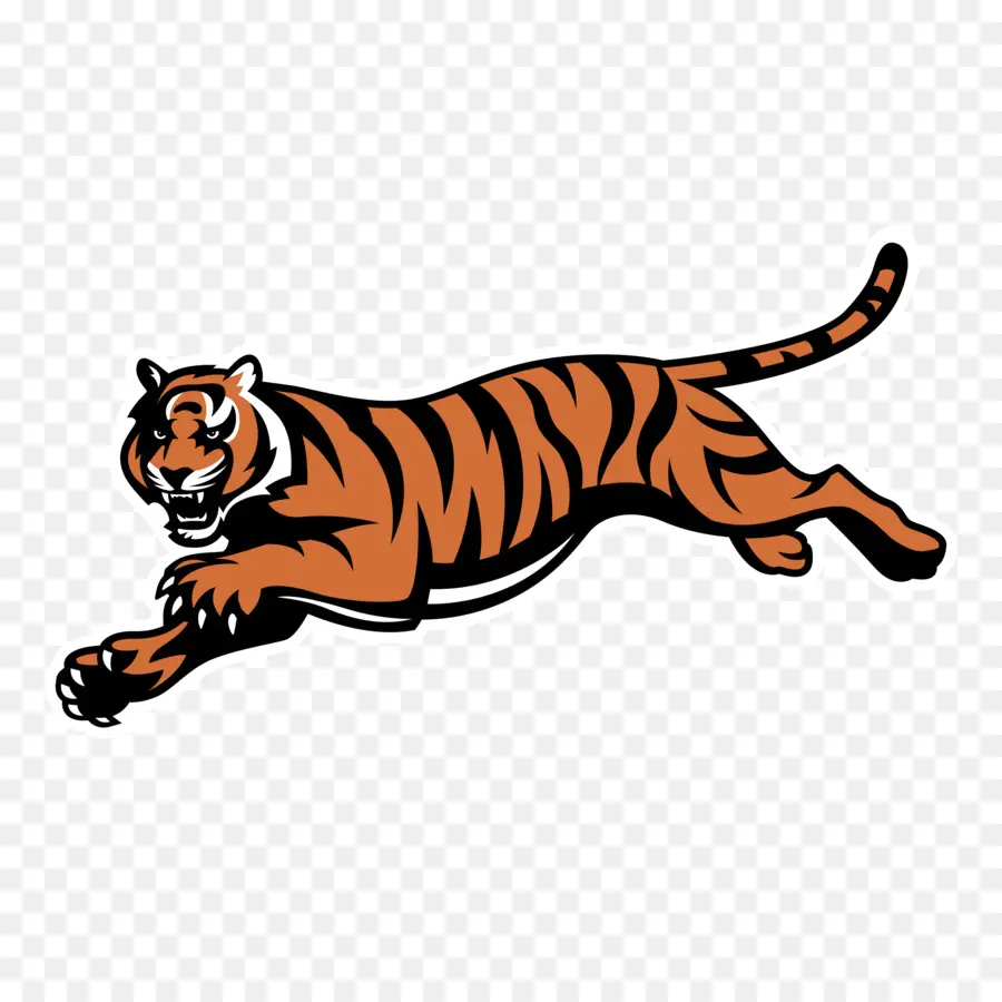 Tigre，Orange PNG