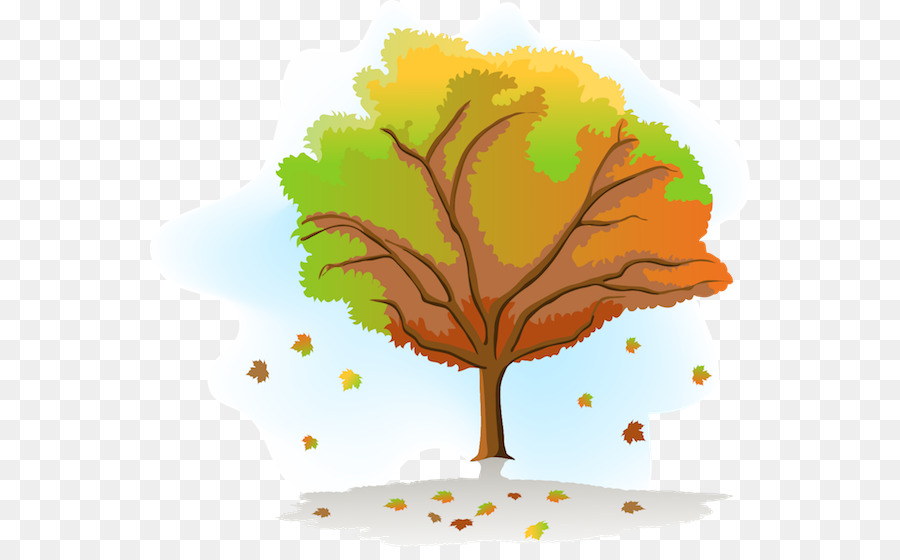 Arbre，Feuilles PNG