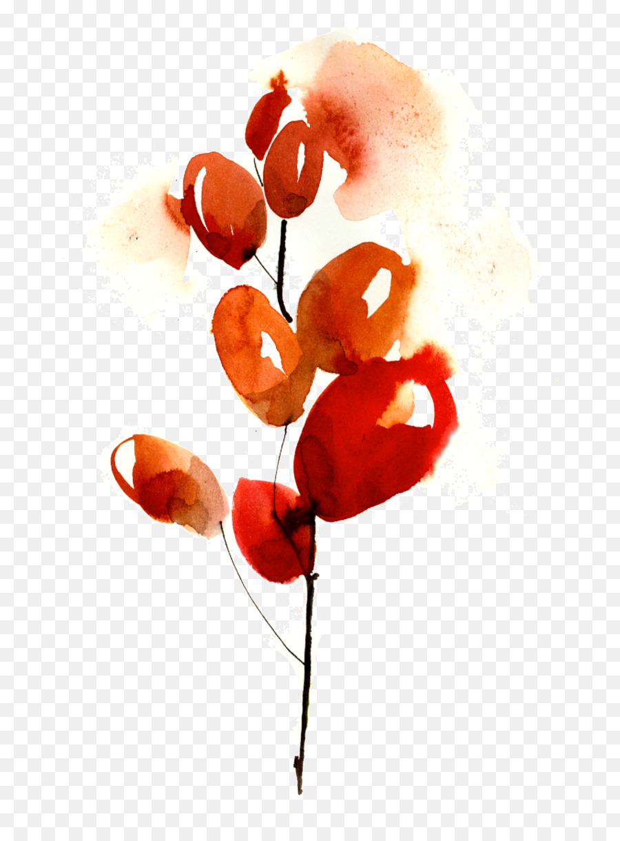 Ostie，Fruits PNG