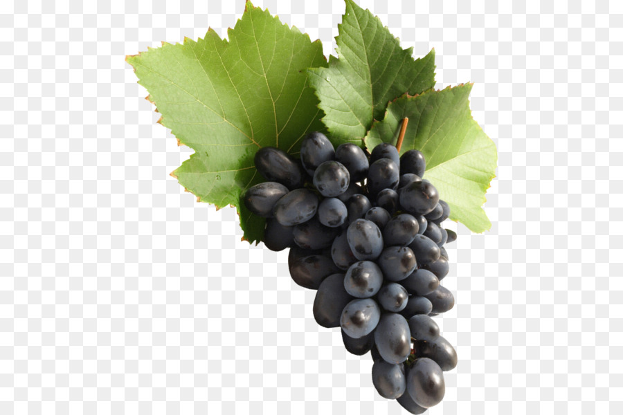 Raisins，Vigne PNG