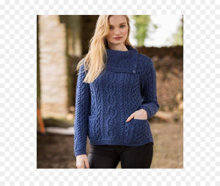 Cardigan，Aran Cavalier PNG