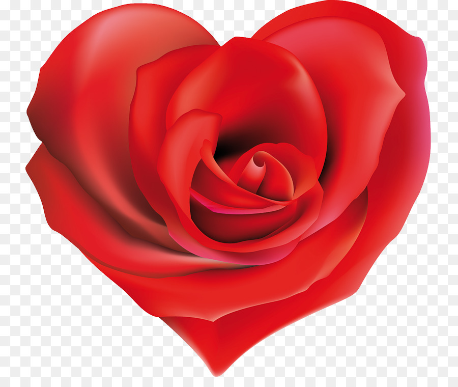 Rose En Forme De Coeur，Amour PNG