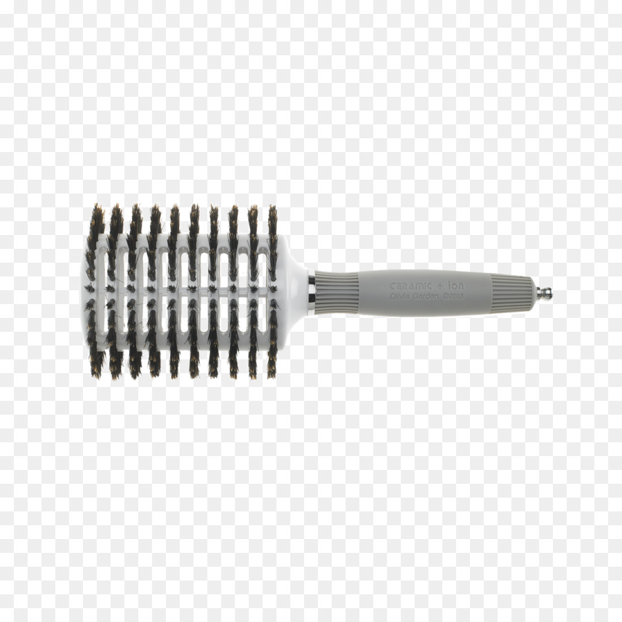 Brosse，Sanglier PNG