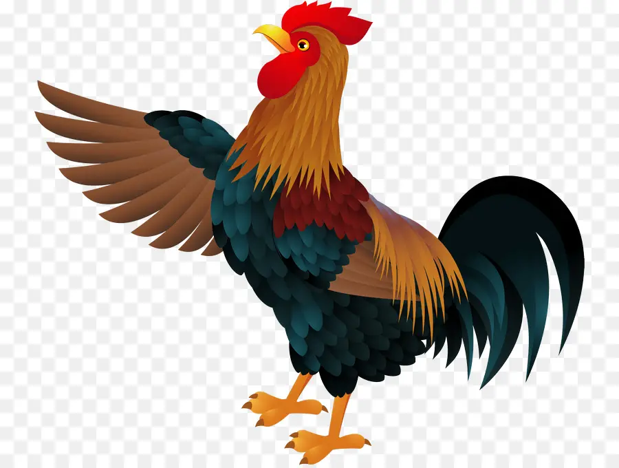 Poulet，Poule PNG