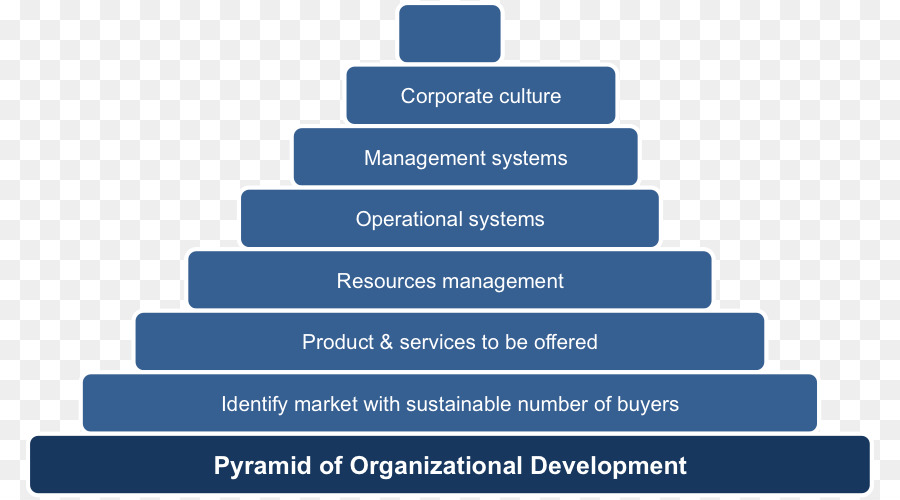 Le Développement De L Organisation，Organisation PNG