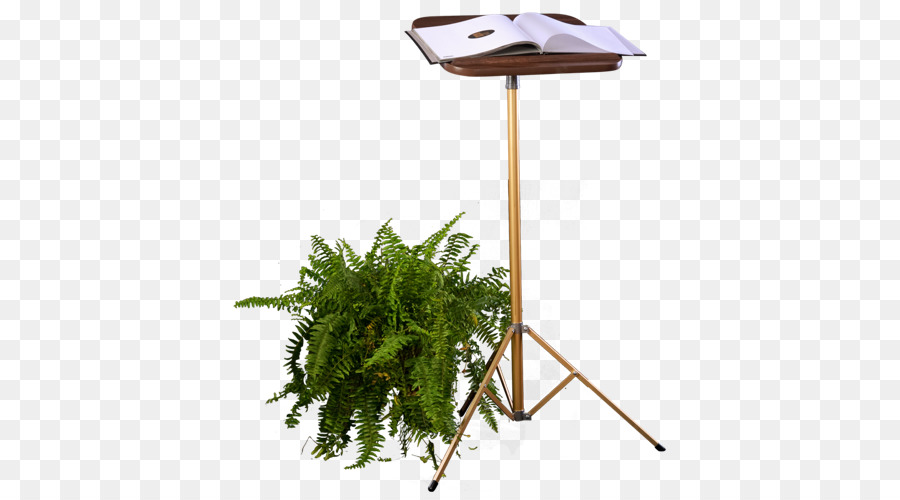 Arbre，Flowerpot PNG