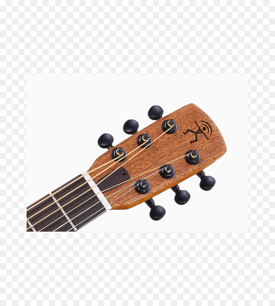 Tête De Guitare，Cordes PNG