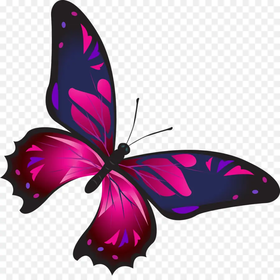 Papillon，Des Ongles PNG