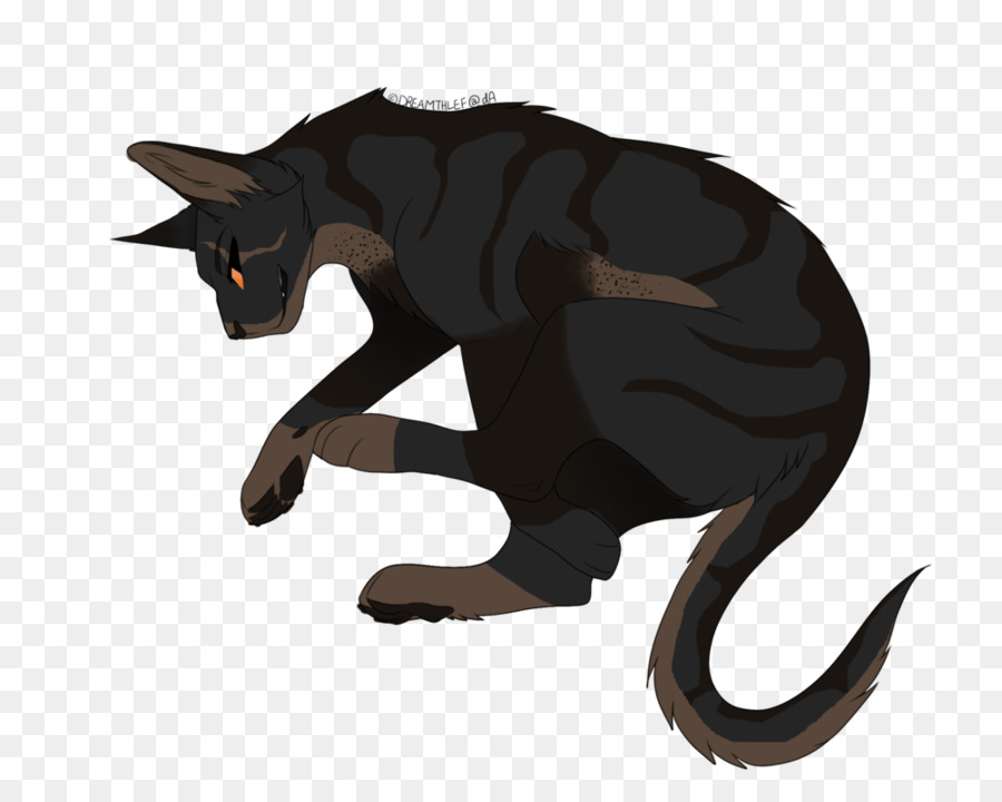 Chat，Animal De Compagnie PNG