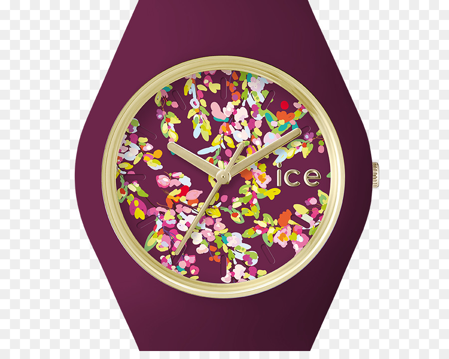 Regarder，Ice Watch PNG