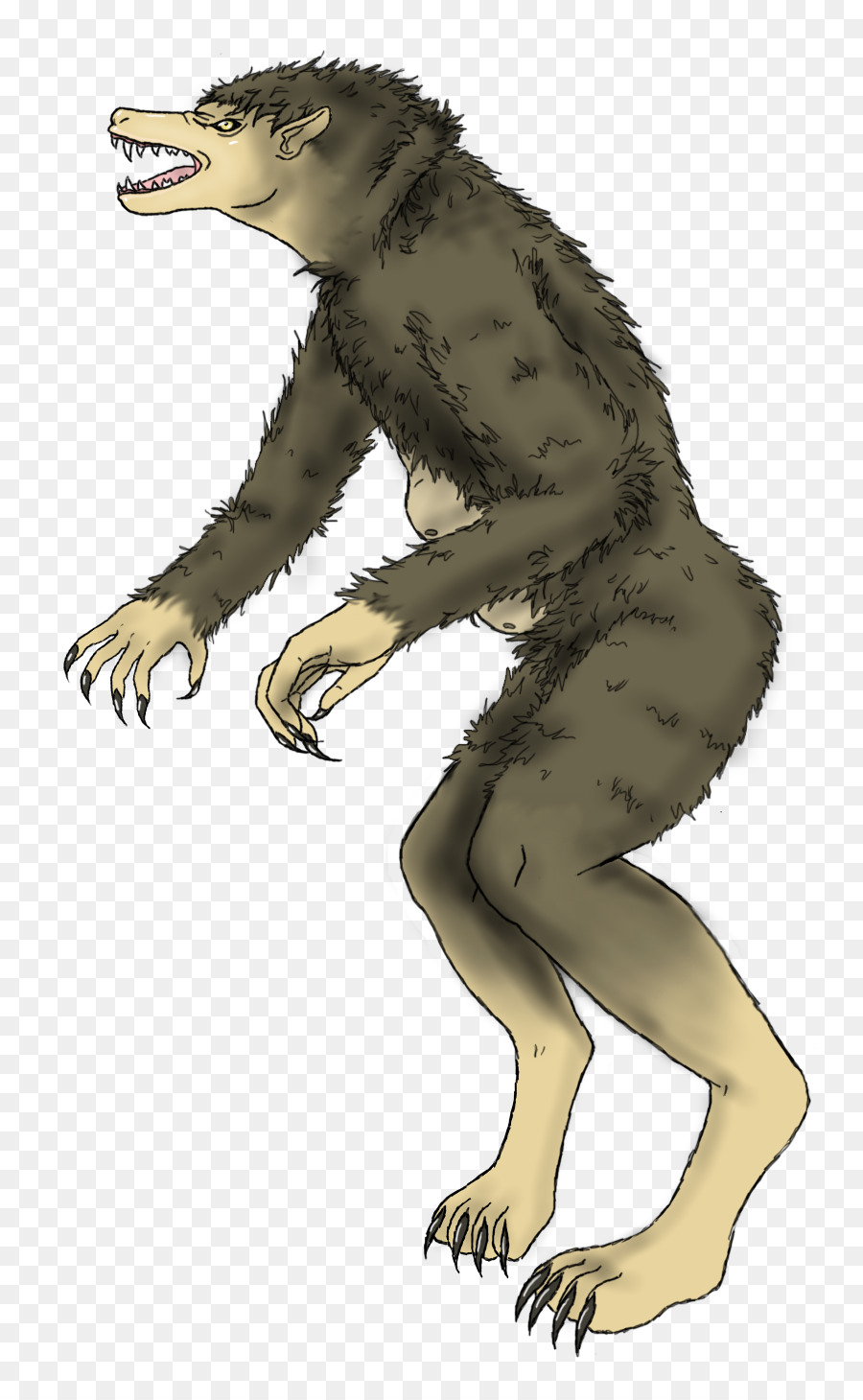 Tyrannosaurus，Loup Garou PNG