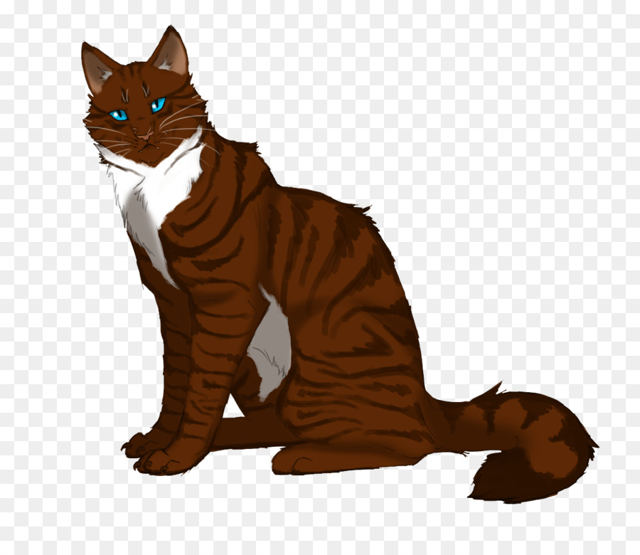 Chat，Animal De Compagnie PNG