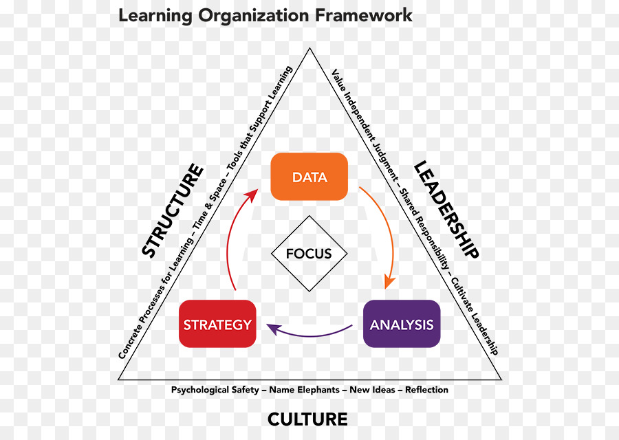 L Apprentissage De L Organisation，Organisation PNG