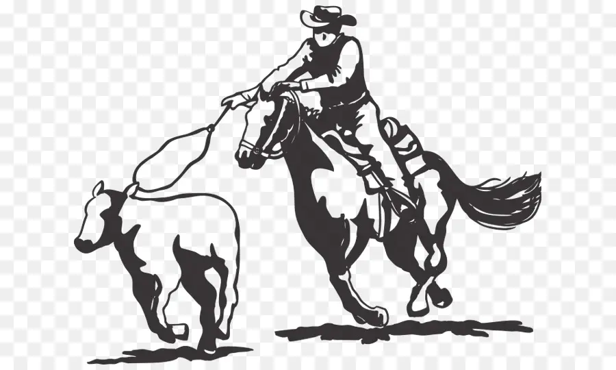 Cavalier，Cow Boy PNG