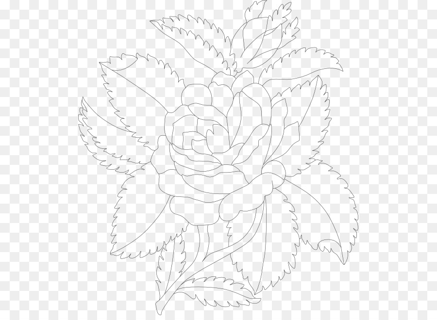 Croquis De Fleurs，Contour PNG