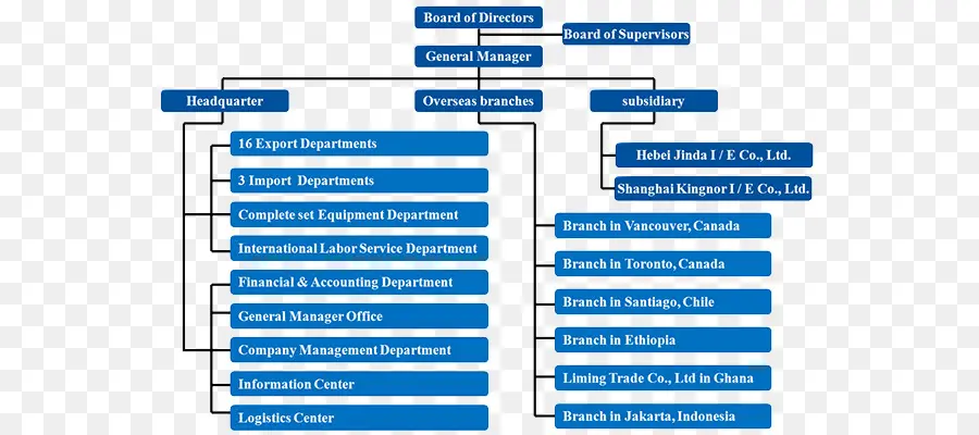 Organigramme，Structure De L'entreprise PNG