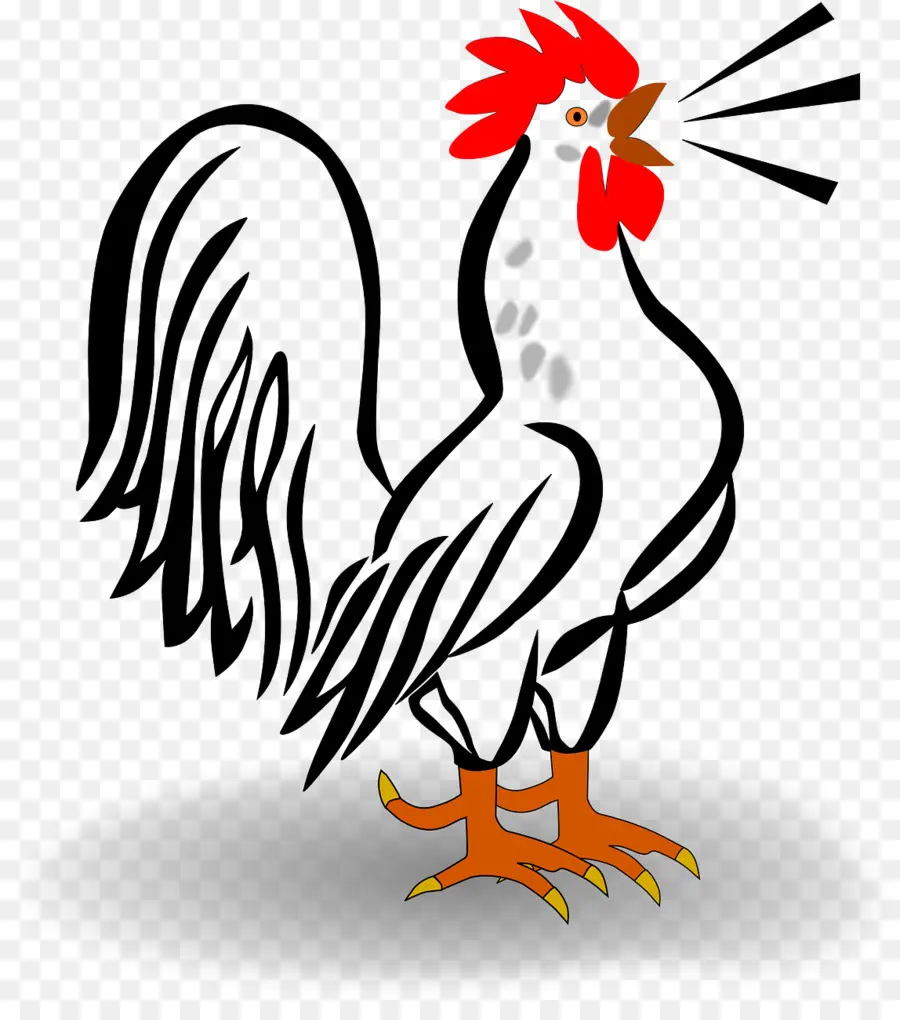 Coq，Poulet PNG