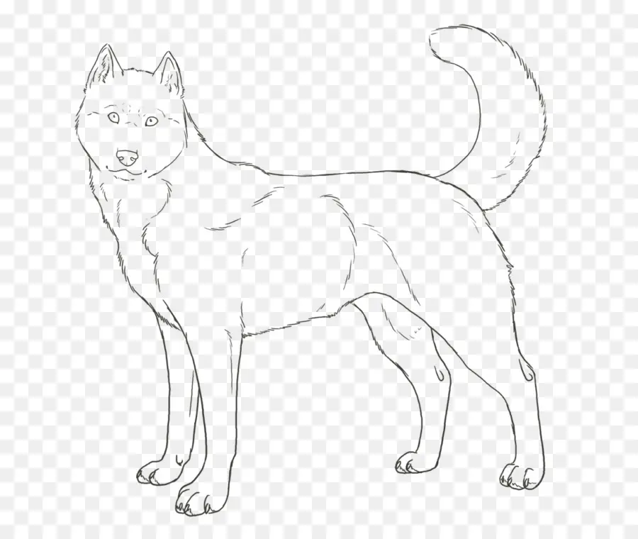 Dessin De Loup，Esquisser PNG