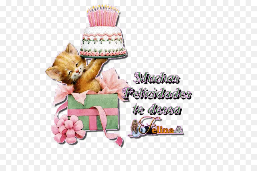 Chat，Anniversaire PNG