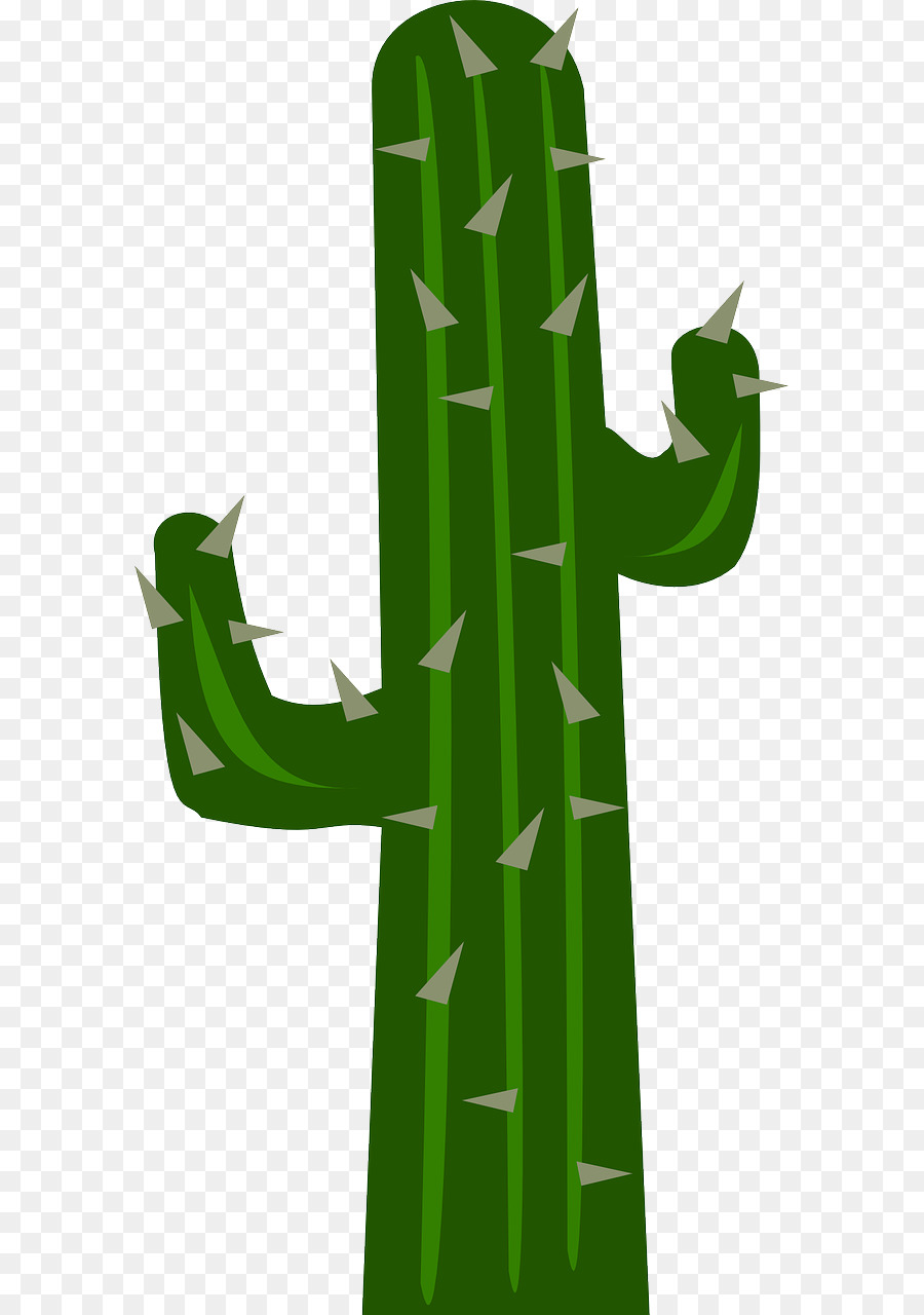 Cactus，Désert PNG