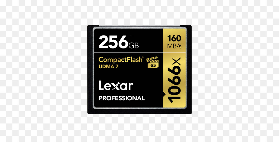 Cartes De Mémoire Flash，Compactflash PNG