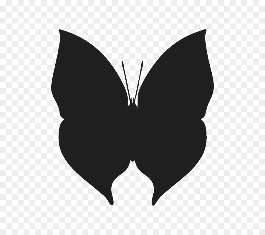 Papillon Noir，Insecte PNG