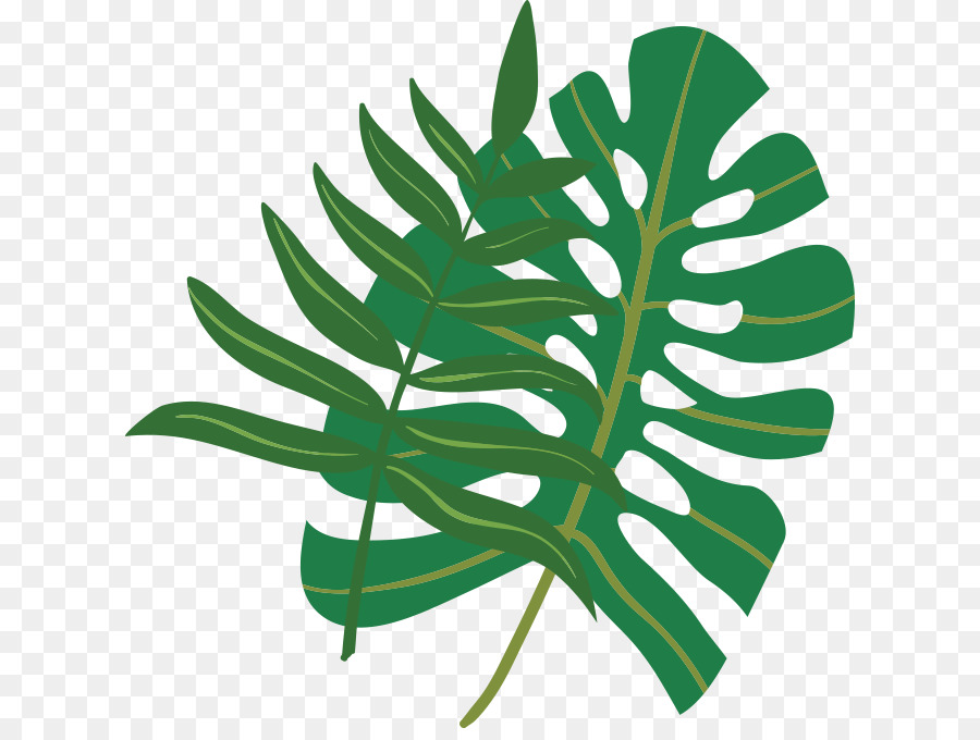 Plante Verte，Feuilles PNG