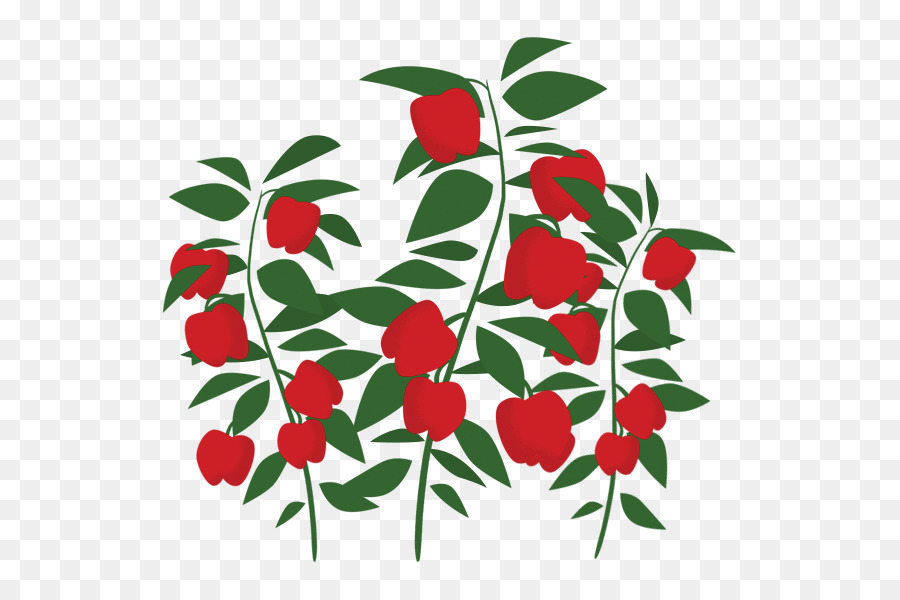 La Pomme De Terre，Feuille PNG